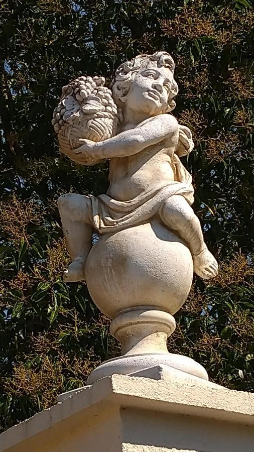 Le Clos Du Cedre Launac Kültér fotó